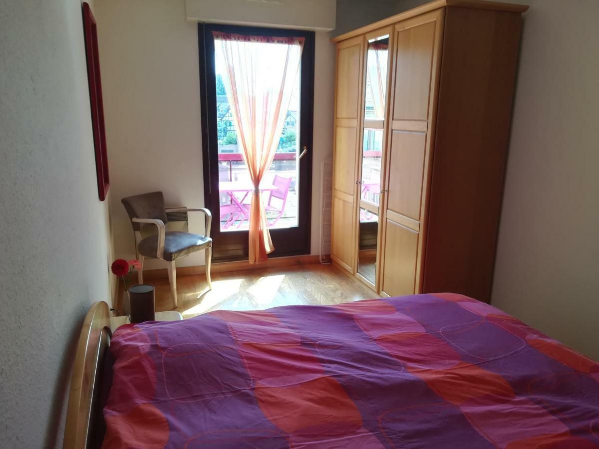 Apartament Centre Alsace, Proche Strasbourg, Selestat, Colmar Benfeld Zewnętrze zdjęcie
